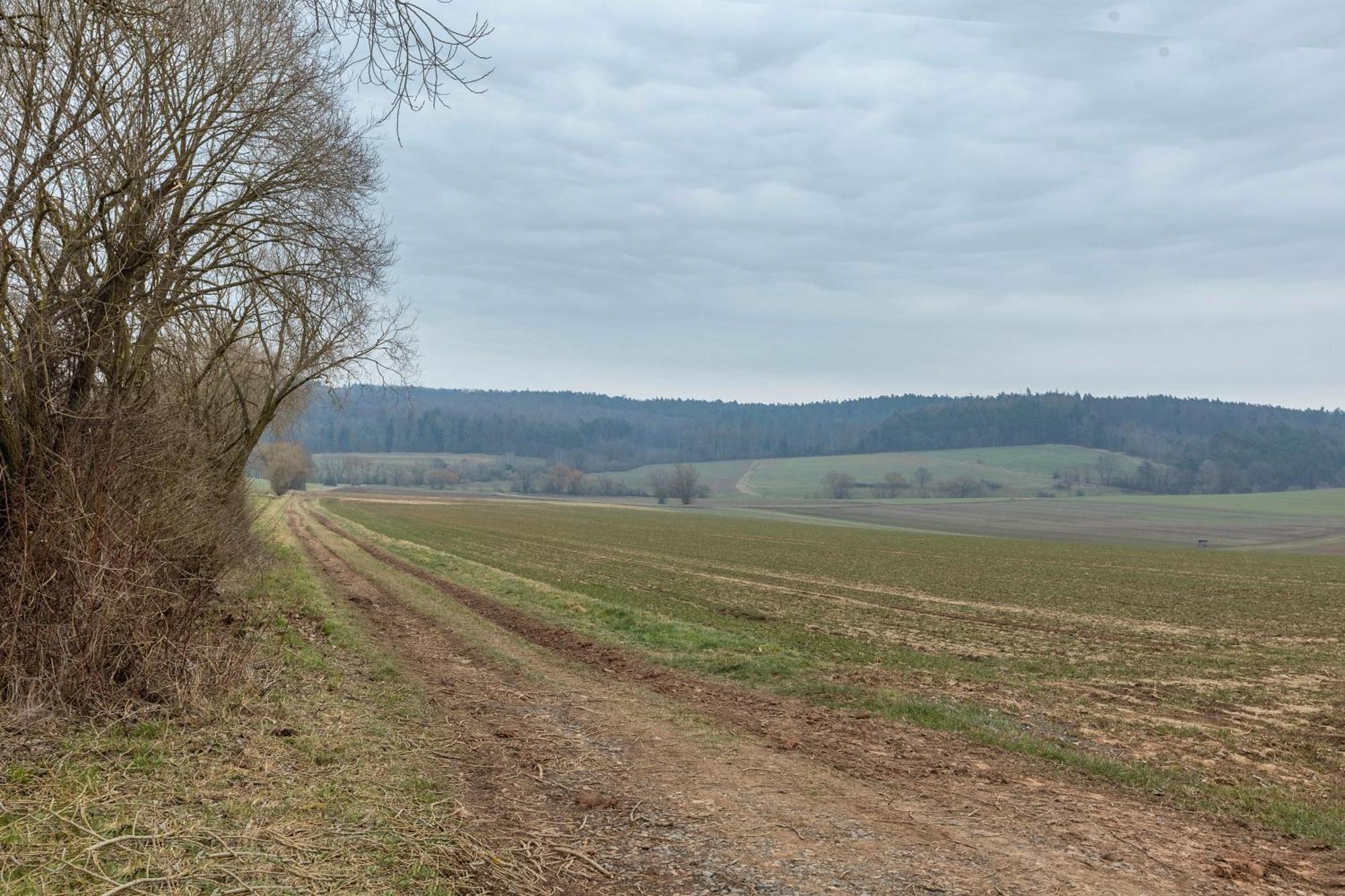 Mittendrin Jesberg Exterior foto